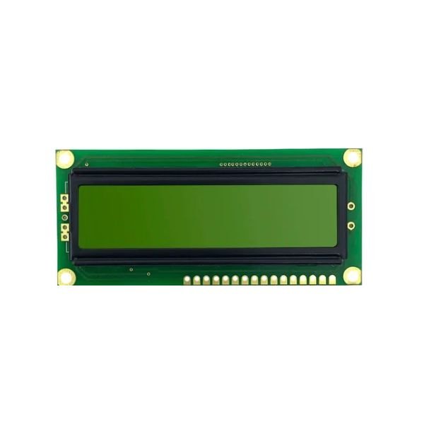 Display LCD Winstar WH1602B-NYG